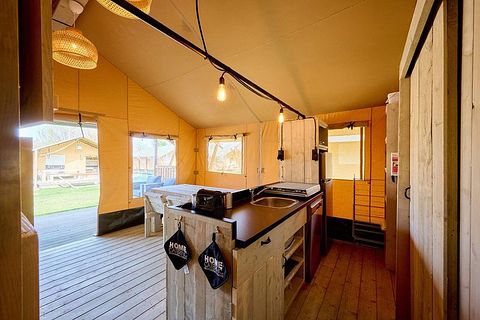 Luxe glamping op de Veluwe - 5
