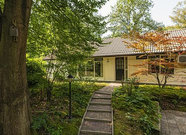 Group stay at nice campsite on the Veluwe - 3
