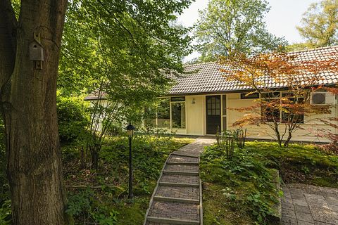Group stay at nice campsite on the Veluwe - 3