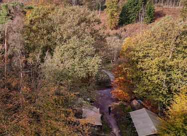Gemütliche Hütte mit Außendusche im Wald - 15