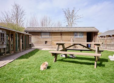 Luxe glamping vakantie in Zuid-Limburg - 38