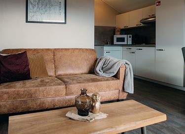 Tiny house with veranda on the Veluwe - 2