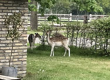Authentisches 4-Personen Landhaus - 21