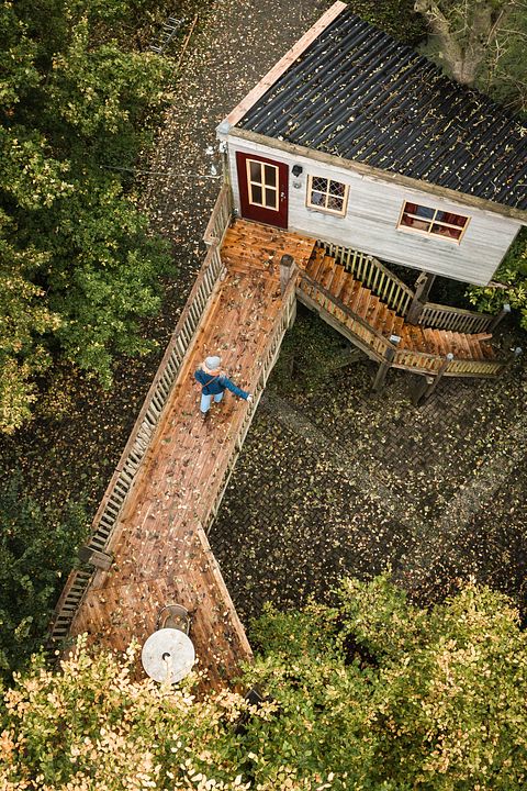 Tree house with balcony within nature - 5
