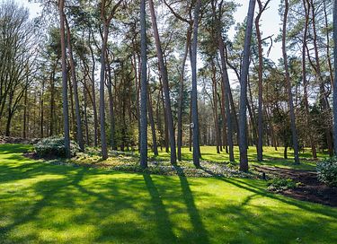 Luxuriöse Wellness-Lodge in den Wäldern von Brabant - 19
