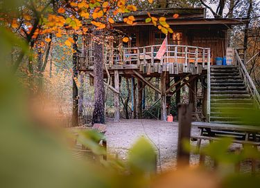 Prachtige boomhut (4p) midden in de natuur - 6