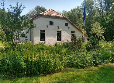 Gemütliches schwedisches Landhaus in Drenthe - 39