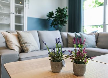 Apartment in the oyster village of the Netherlands - 7