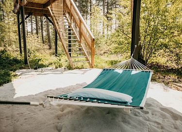 Treehouse in the forest - 14
