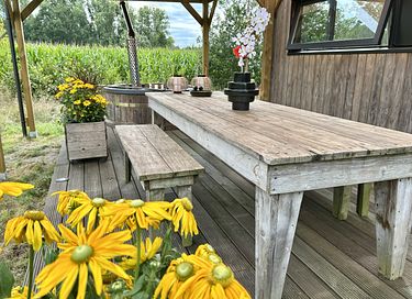Tiny House met hottub en veel privacy - 27