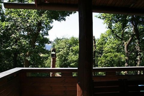 Leuke vakantiewoning in de Duitse natuur - 2