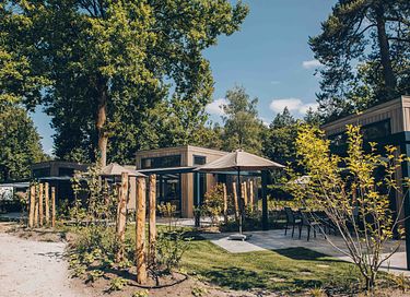 Tiny house dans le parc de vacances de Veluwe - 23