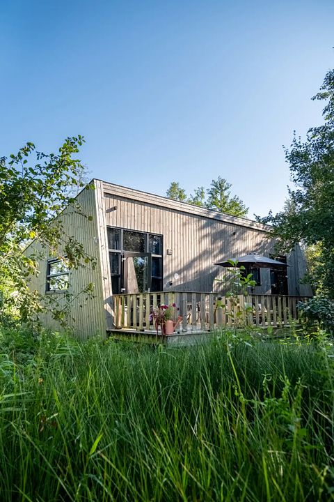 Tiny House in der Nähe eines Sees in Friesland - 4