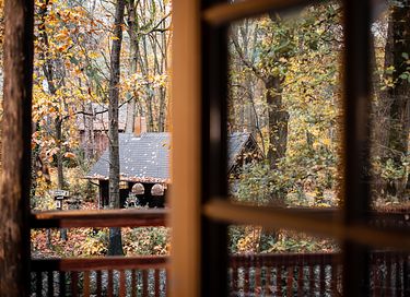 Luxe en ruime boomhut voor 6 personen - 21
