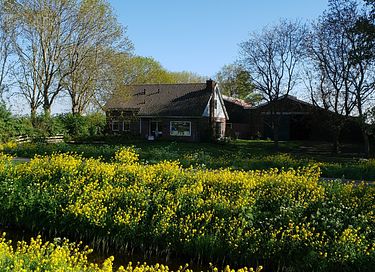 Kamer op een boerderij in landelijk Amsterdam - 13