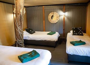 De koning onder de glamping tenten!  - 15