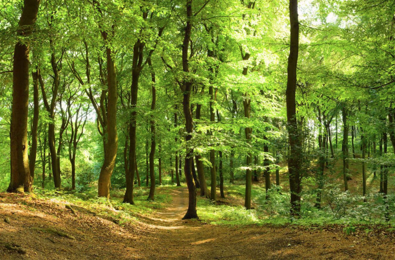 10 Unusual accommodations in Gelderland