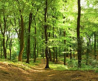 10 pernottamenti speciali in Gelderland

Aspetta — "overnachtingen" deve essere "notti".

10 notti speciali in Gelderland