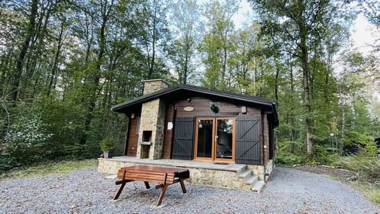 Joli chalet dans une belle réserve naturelle - 1
