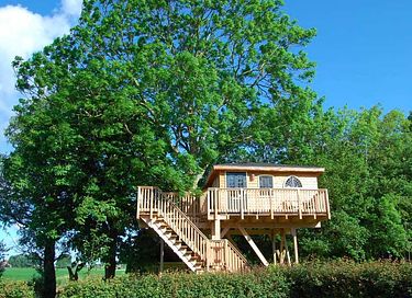 Splendide cabane à arbres en Frise - 5