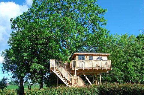 Splendide cabane à arbres en Frise - 5