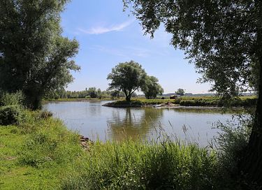 Gemütliches Safarizelt auf einem Freizeitpark - 33