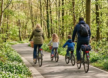 Hyggeligt feriehus i Noord-Brabant - 27