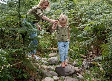 Beautiful forest cabin in small vacation park - 34