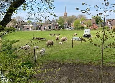 Grasgedecktes Haus am Wasser in Groningen - 21
