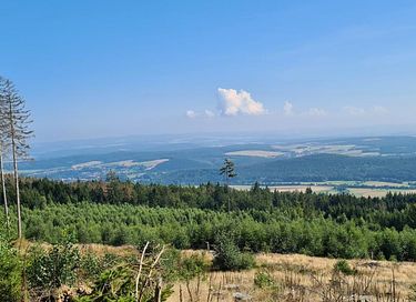 Appartement à l'orée de la forêt pour 2 personnes - 30