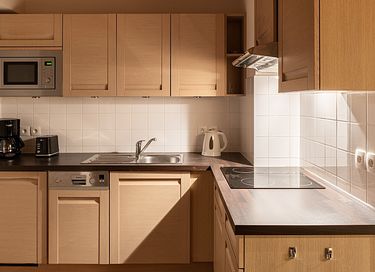 Appartement avec vue sur les montagnes dans les Alpes - 7