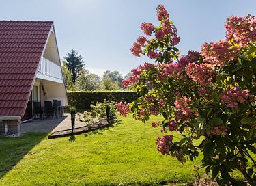 Logement de vacances Drenthe - 38