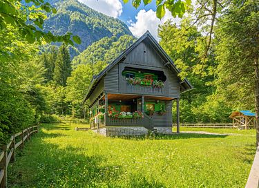 Vakantiechalet aan een meer in Bohinj - 15