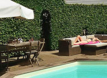 Knusse B&B in Drenthe met zwembad  - 14