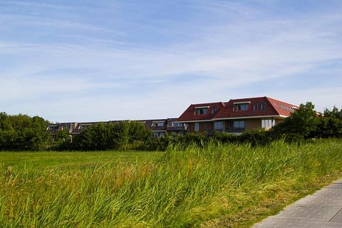 Studio acceptant les chiens (2 personnes) à Terschelling - 3