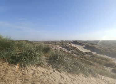 Logement de vacances dans les dunes avec beaucoup d'intimité - 47