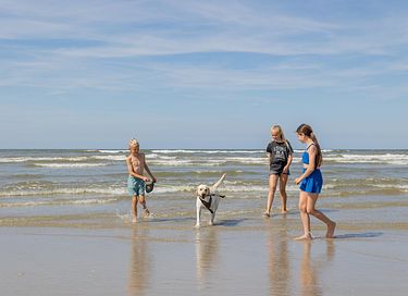 Duurzame bungalow op Ameland, hond welkom - 37