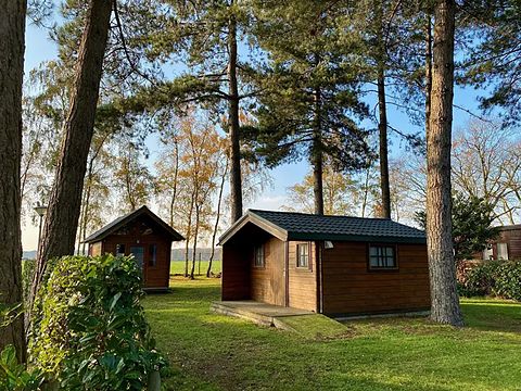 Cozy cabin for 4 people - 2
