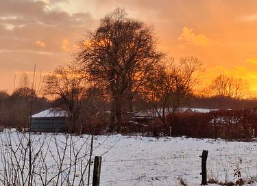 Overnachten in romantische yurt  - 18