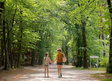 Maison dans la forêt en bois dans le Brabant-Septentrional - 21