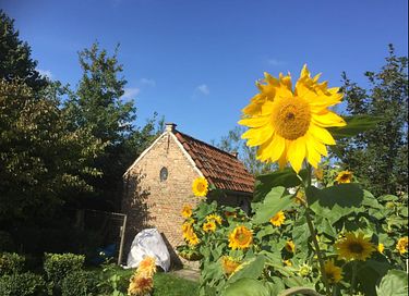 Charmant vakantiehuisje in Zeeuws dorp (4p) - 31