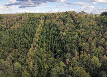 Un pernottamento unico tra gli alberi - 18
