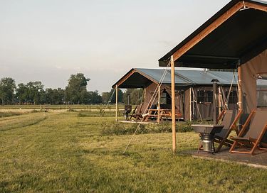 Tent cabin (sleeps 6) in the Groningen countryside