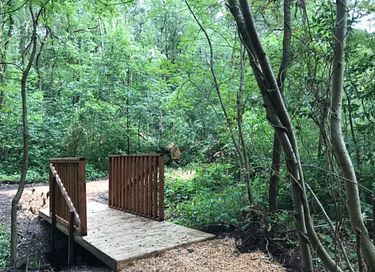 Ruime lodge op mooi domein met paarden - 32