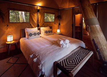 Schönste Glamping-Unterkunft Hollands - 12
