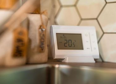 Lodge dans les bois avec bain à remous privé à Drenthe - 21