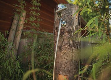 Wellness stay in Drenthe - 18