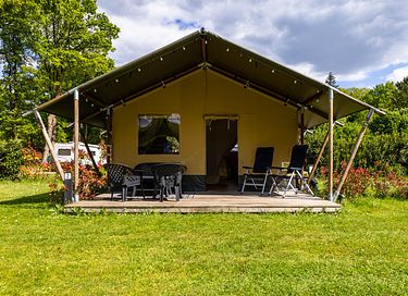 Cozy safaritent in the middle of the Veluwe