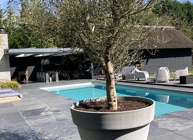 Luxuriöse Familienunterkunft mit Schwimmbad - 4