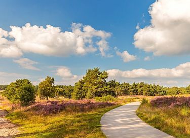 Roulotte dans la Veluwe - 49